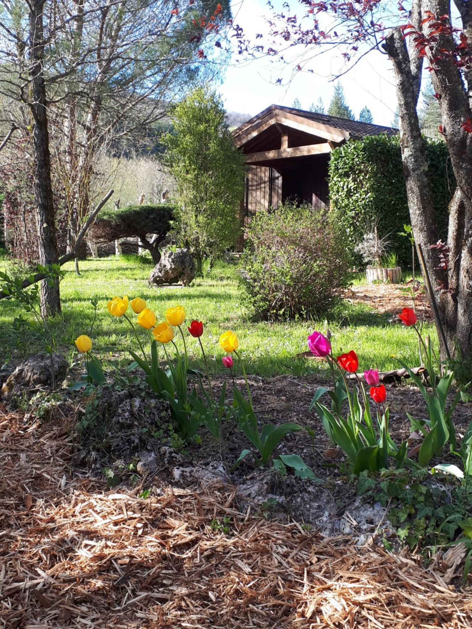 Les Chalets Du Roc Alzon Eksteriør billede